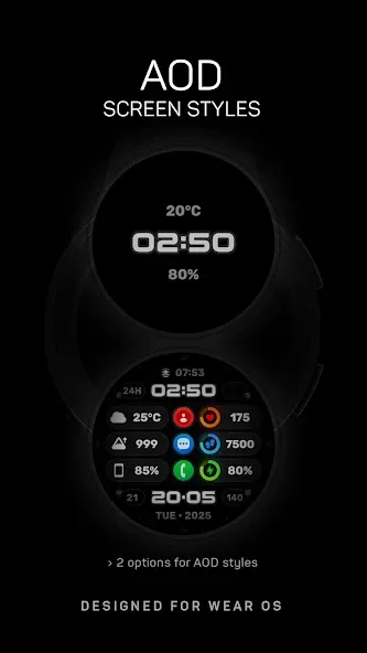 Wyvern Watch Face screenshot 6