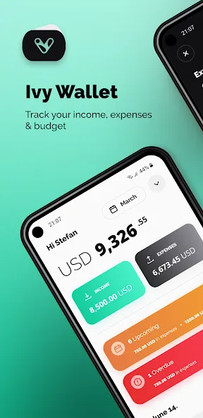 Ivy Wallet: money manager screenshot 1