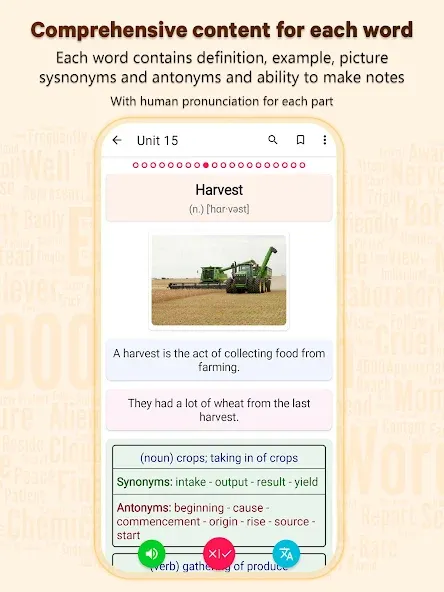 Essential Vocabulary screenshot 2
