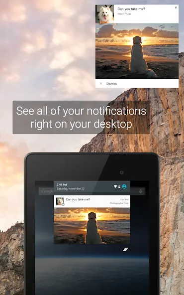 Pushbullet: SMS on PC and more screenshot 10