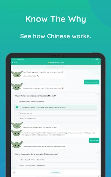 Learn Chinese Grammar - Yocha screenshot 12