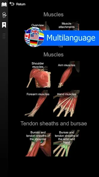 Anatomy Learning - 3D Anatomy screenshot 6
