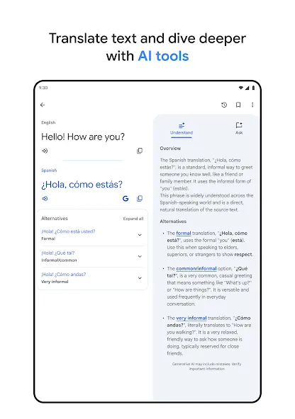 Google Translate screenshot 13