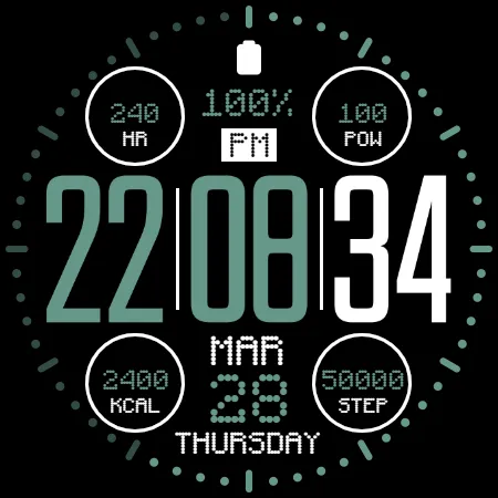 IWF AL1 watchface screenshot 23