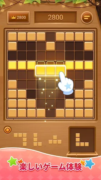 Wood Block Puzzle-SudokuJigsaw screenshot 5