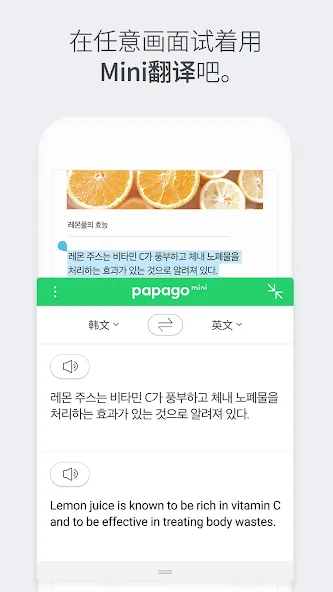 Naver Papago - AI 翻译 screenshot 8