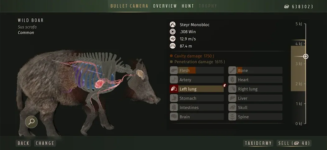 Way of the Hunter Wild Europe screenshot 4