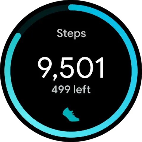 Google Health (Fitbit) screenshot 11