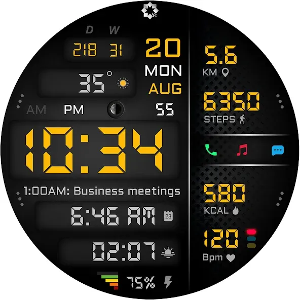 A445 Digital Health Face screenshot 26