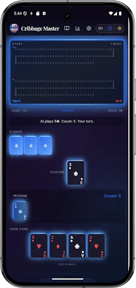 Offline Cribbage Master Ai screenshot 15
