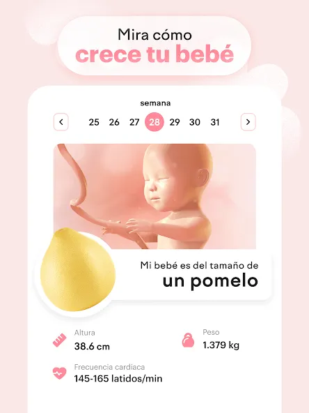 Embarazo semana a semana: amma screenshot 9