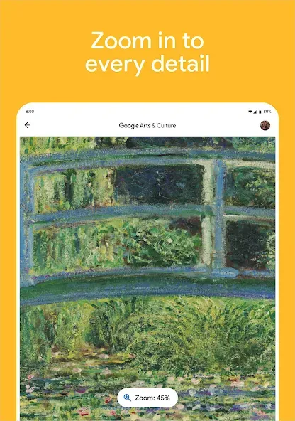 Google 艺术与文化 screenshot 12