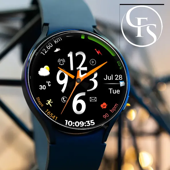 Hybrid FSW309 Watchface screenshot 3