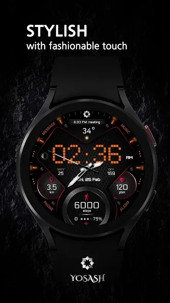 H355 Pixels Watch Face YOSASH screenshot 2