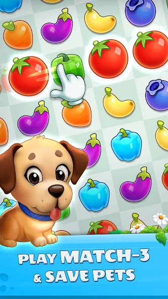 Pet Savers: Travel to Find & R screenshot 5
