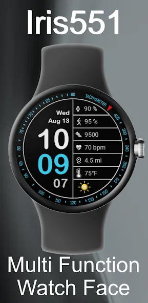 Iris551 Multi-Function Digital screenshot 1