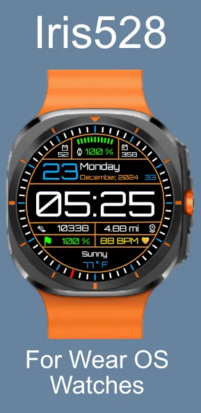 Classic Digital Watch Iris528 screenshot 1