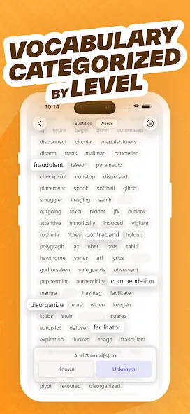 Wordy - Learn Languages screenshot 5
