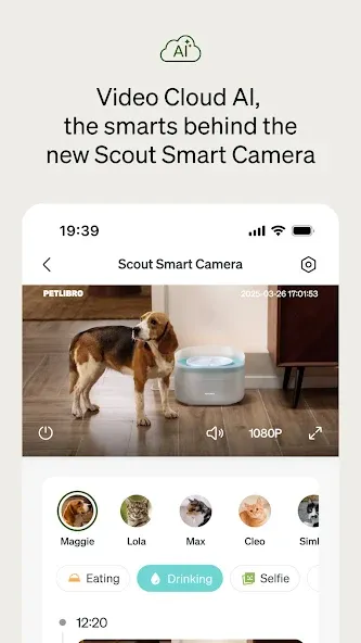 Petlibro screenshot 8