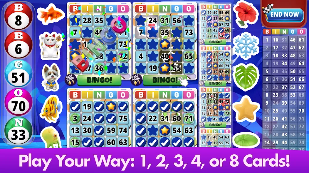 Bingo Classic - Bingo Games screenshot 3