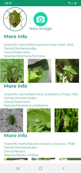Insektenidentifikator screenshot 8