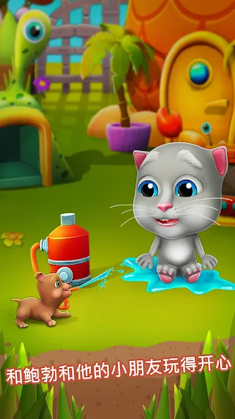 虚拟宠物鲍勃 - 搞笑猫咪 screenshot 3
