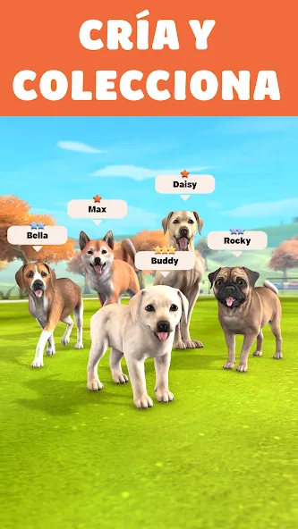 Pocket Paws: perros adorables screenshot 1