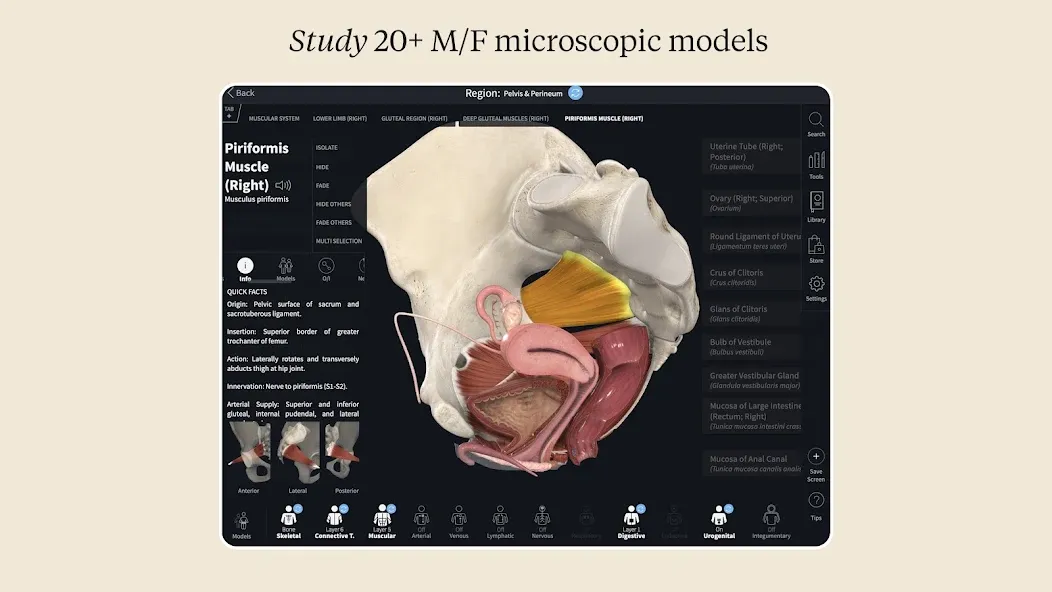 Complete Anatomy - Learn in 3D screenshot 12