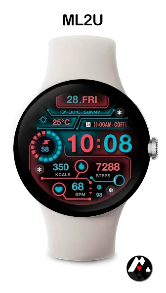 ML2U 217 Watch Face screenshot 4