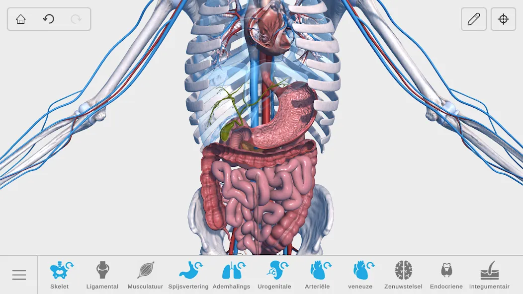 Visual Anatomy 3D - Human body screenshot 27