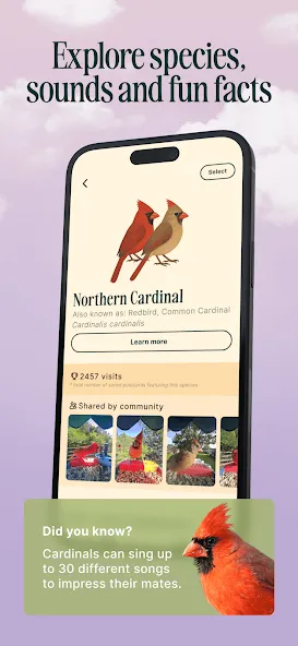 Birdbuddy: ID & Collect Birds screenshot 3