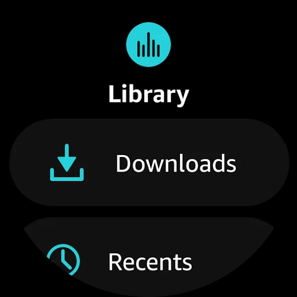 Amazon Music: Songs & Podcasts screenshot 30