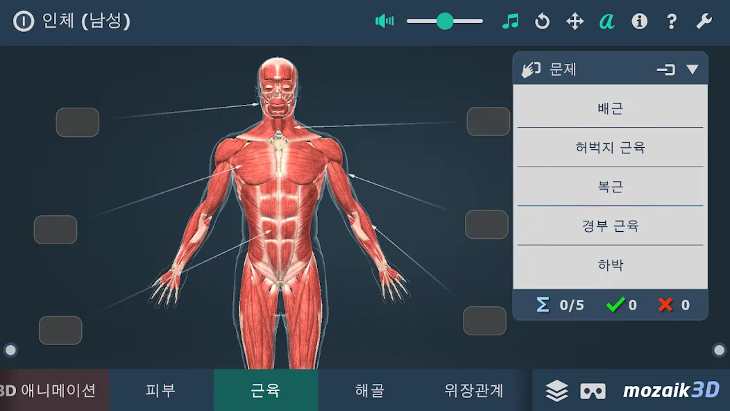인체 (남성) screenshot 5