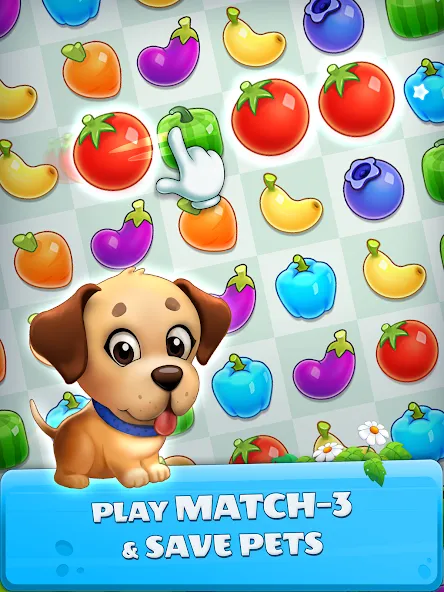 Pet Savers: Travel to Find & R screenshot 17
