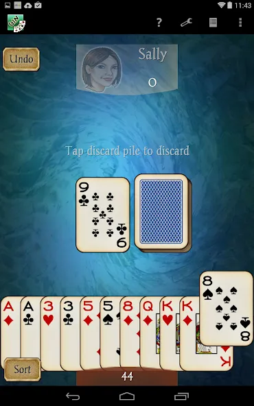 Gin Rummy Pro screenshot 8