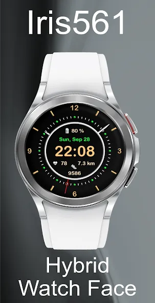 Iris561 Hybrid Watch Face screenshot 17