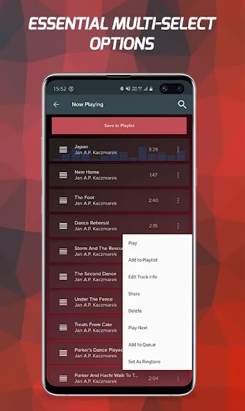 Pi Music Player: Offline Music screenshot 5