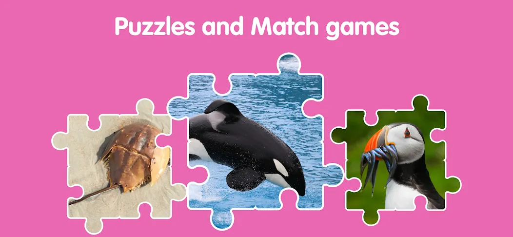 Learn Ocean Animals for kids screenshot 14