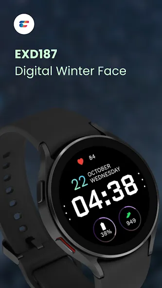 EXD187: Digital Winter Face screenshot 1