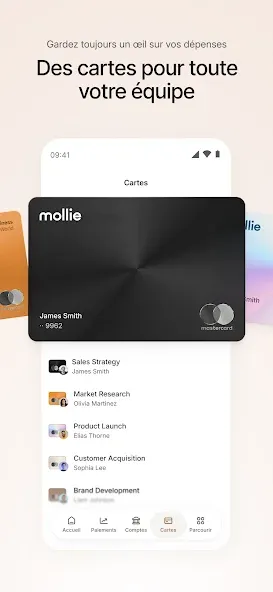 Mollie screenshot 4