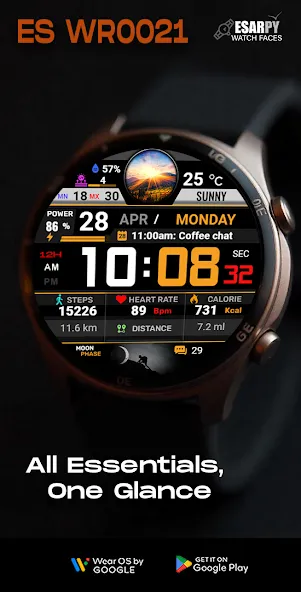 ES WR0021 screenshot 1