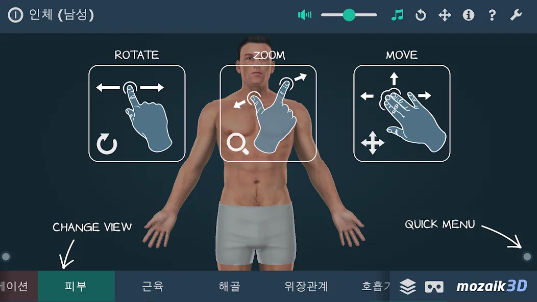 인체 (남성) screenshot 1