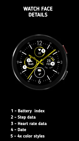Endurance Watch Face screenshot 2