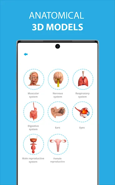 Medical Terminology Learning Q screenshot 7