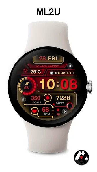 ML2U 217 Watch Face screenshot 7