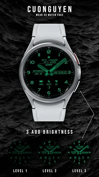 Watch face CNW-35 screenshot 2