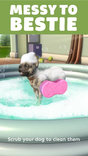 Pocket Paws: My lovely dogs screenshot 5