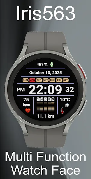 Iris563 Multi-Function Digital screenshot 19