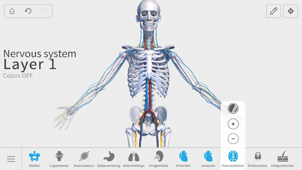 Visual Anatomy 3D - Human body screenshot 30