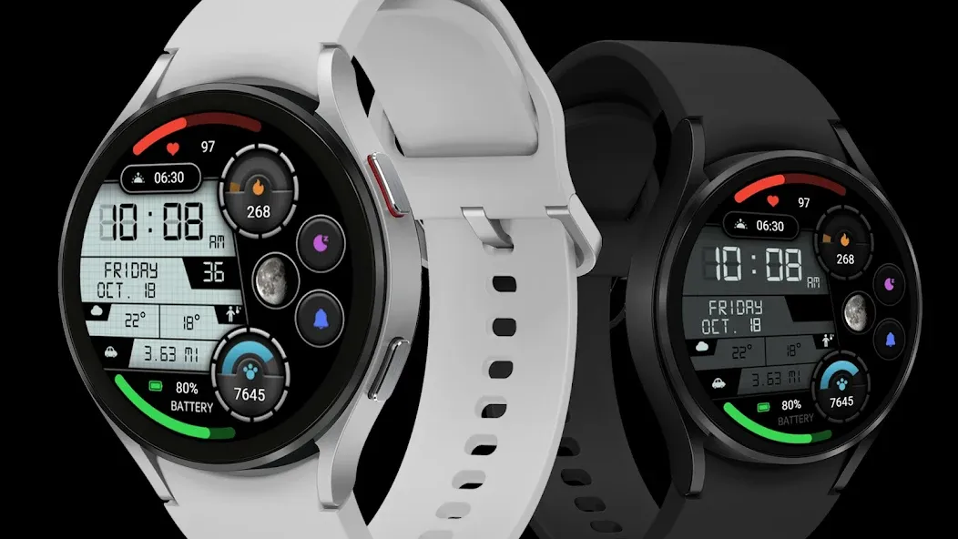 Practical LCD Screen ZKinWatch screenshot 1